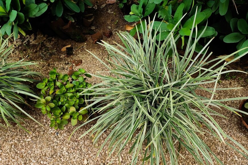 benzmj /shutterstock.com