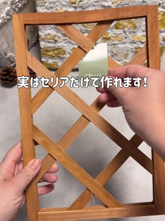 出所：＠taniku_succulents_life