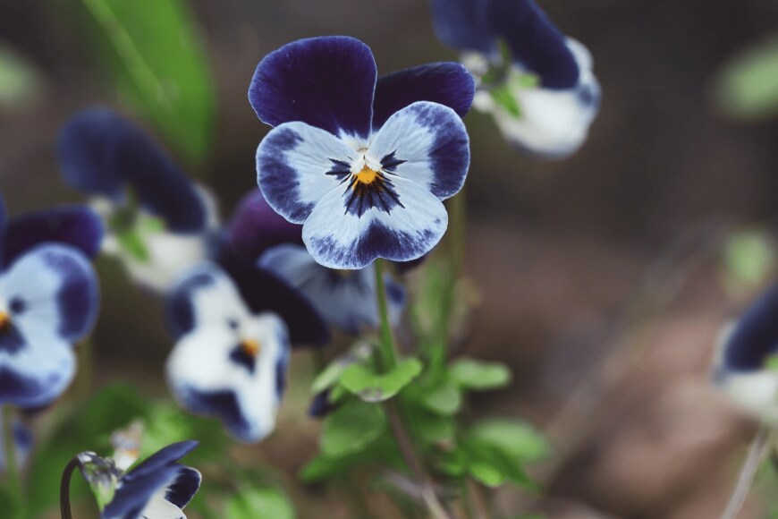 StephanieFrey/istockphoto.com