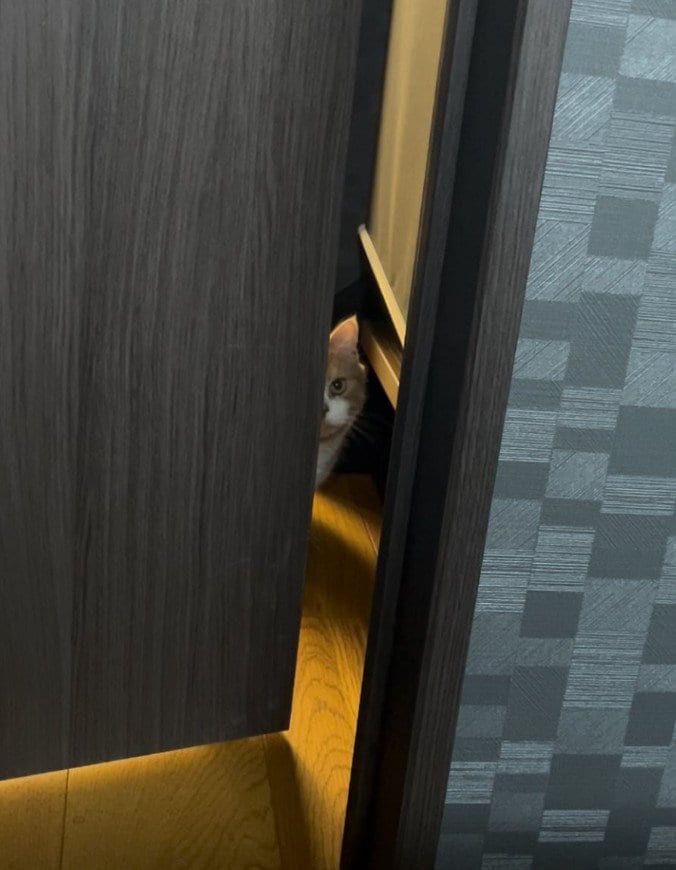 出所：@kotaro_0315