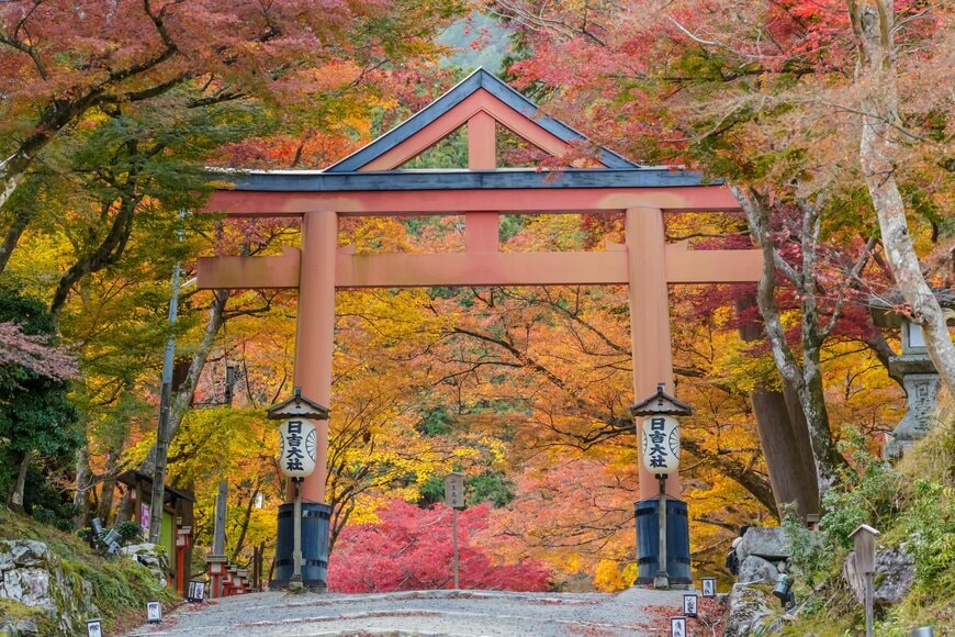 Jasonyan/shutterstock.com