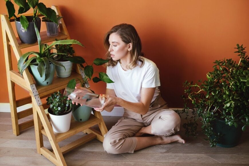 polinaloves/shutterstock.com