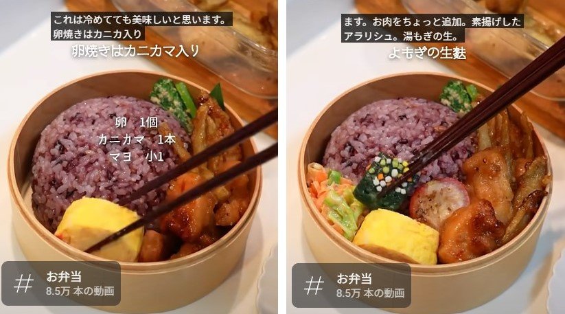 出所：@KINOKOTV-q4e