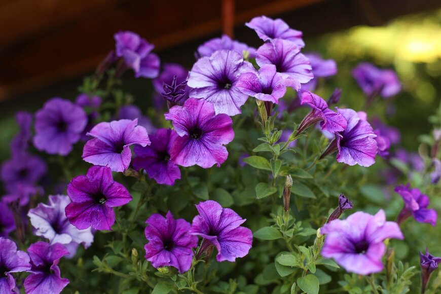 happiness69/Shutterstock.com