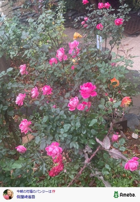 出所：假屋崎省吾の公式ブログ　参照日：2025年12月16日