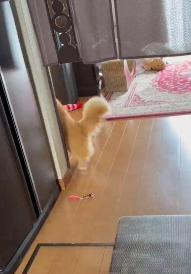 出所：@NEKOLAND13