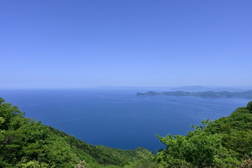 Jenny Arle/shutterstock.com