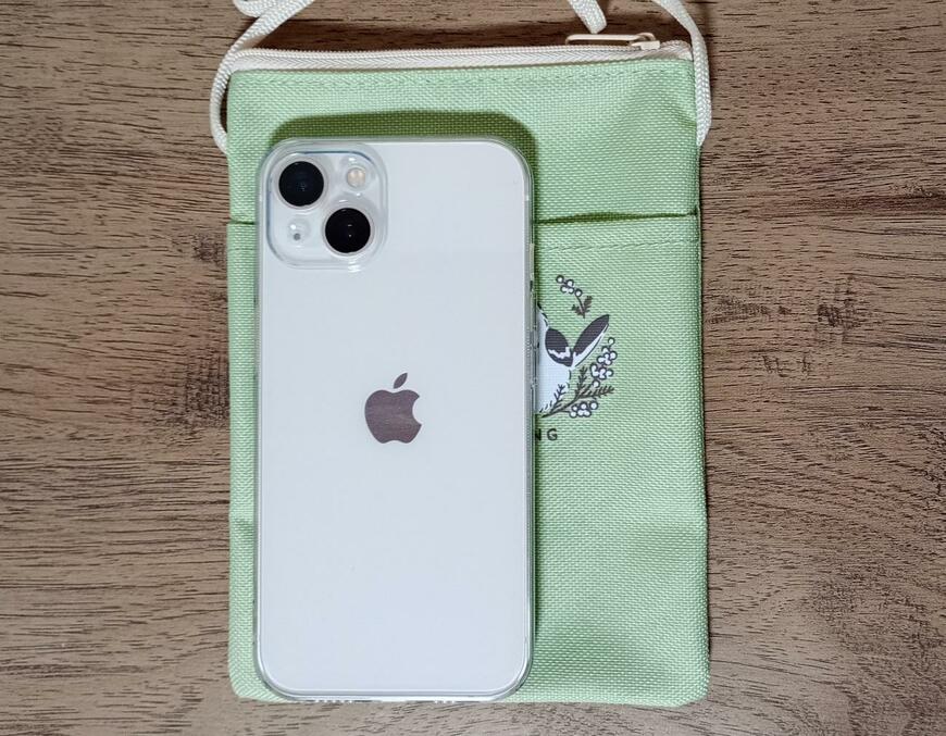 出所：筆者撮影（セリア、ショルダーバッグシマエナガ柄）