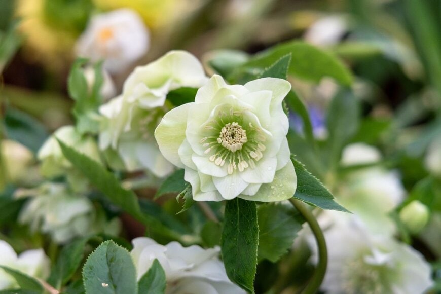 S.O.E/shutterstock.com