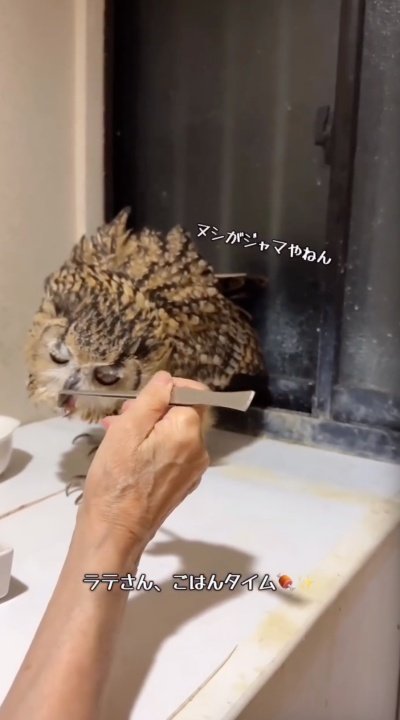 出所：@ba_chantolatte