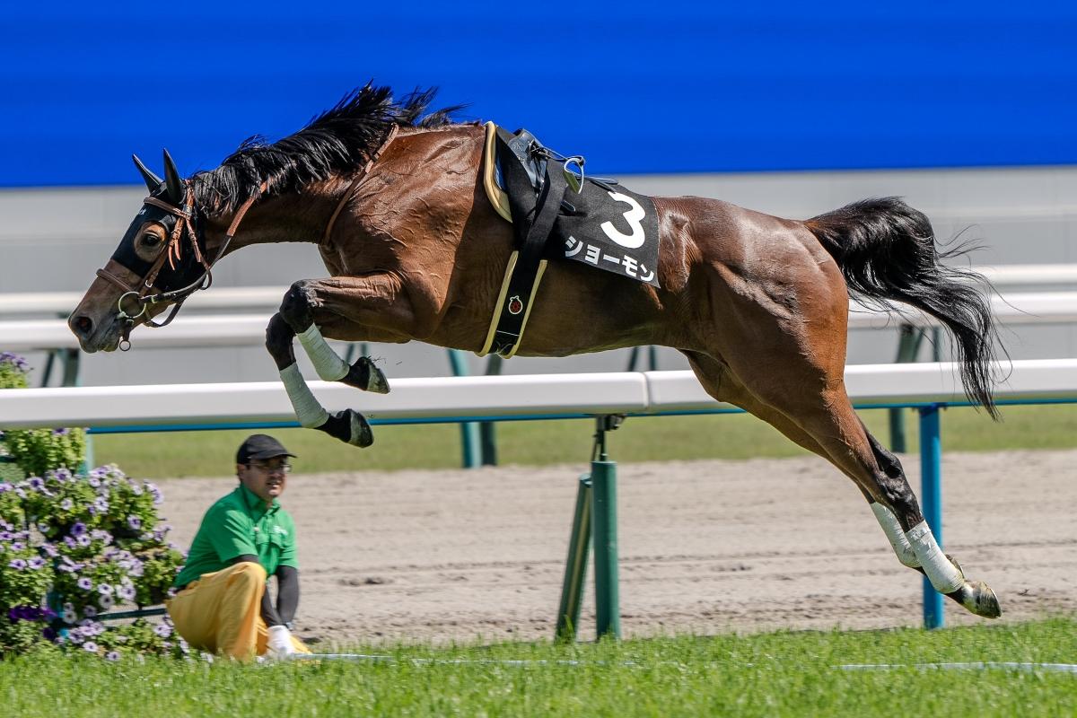 競馬場のコースで放馬してしまった競走馬 躍動感あふれるジャンプの