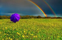 「夫に先立たれた場合...」【遺族年金と老齢年金】両方もらえるのはどんなとき？