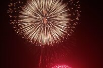 長岡花火の三尺玉を望遠レンズで撮影　異次元のスケール感に「ものすごい迫力」「最高のアート」と話題