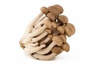 購入した「しめじパックの中」に違和感　入っていた巨大な物体が話題「エリンギ？」