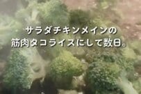 【母の愛情弁当】高校野球部の息子に作る「鶏ひき肉のタコライス弁当」　ご飯が進む味付けに息子も「おいしかった」
