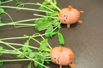 ぎちぎちに詰まった「オムライス弁当」　盛り付けられた「かわいすぎる謎キャラクター」にほっこり