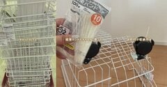 【100均DIY】ダイソーのワイヤーバスケットで散らかった玩具が一瞬で片付く「収納ワゴン」が完成