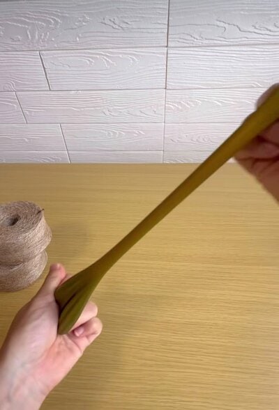 投稿の画像