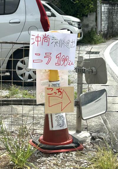 投稿の画像