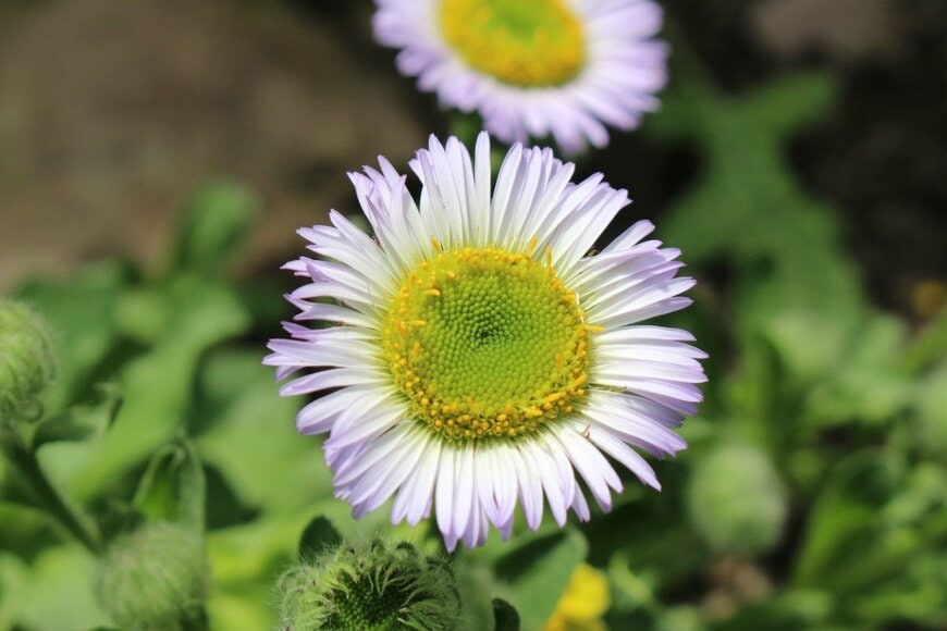 RukiMedia/istockphoto.com