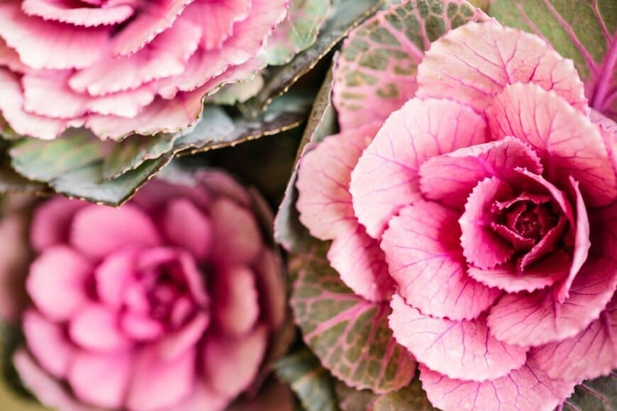 RkaKoka/istockphoto.com