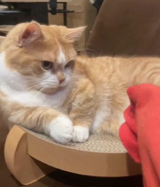 出所：@kotaro_0315