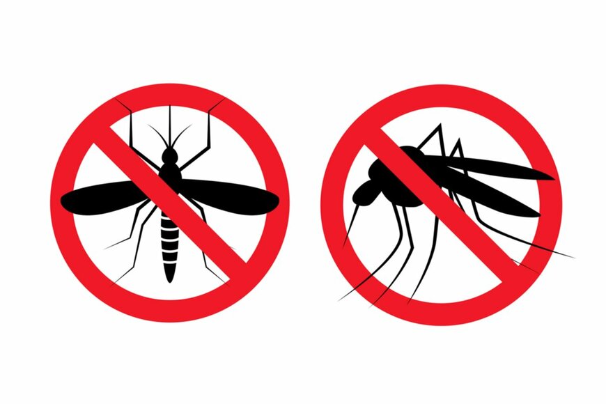 Kolonko/shutterstock.com