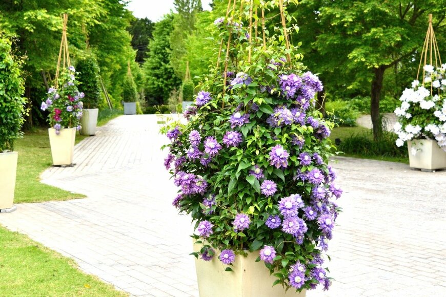 teruo takahashi/istockphoto.com