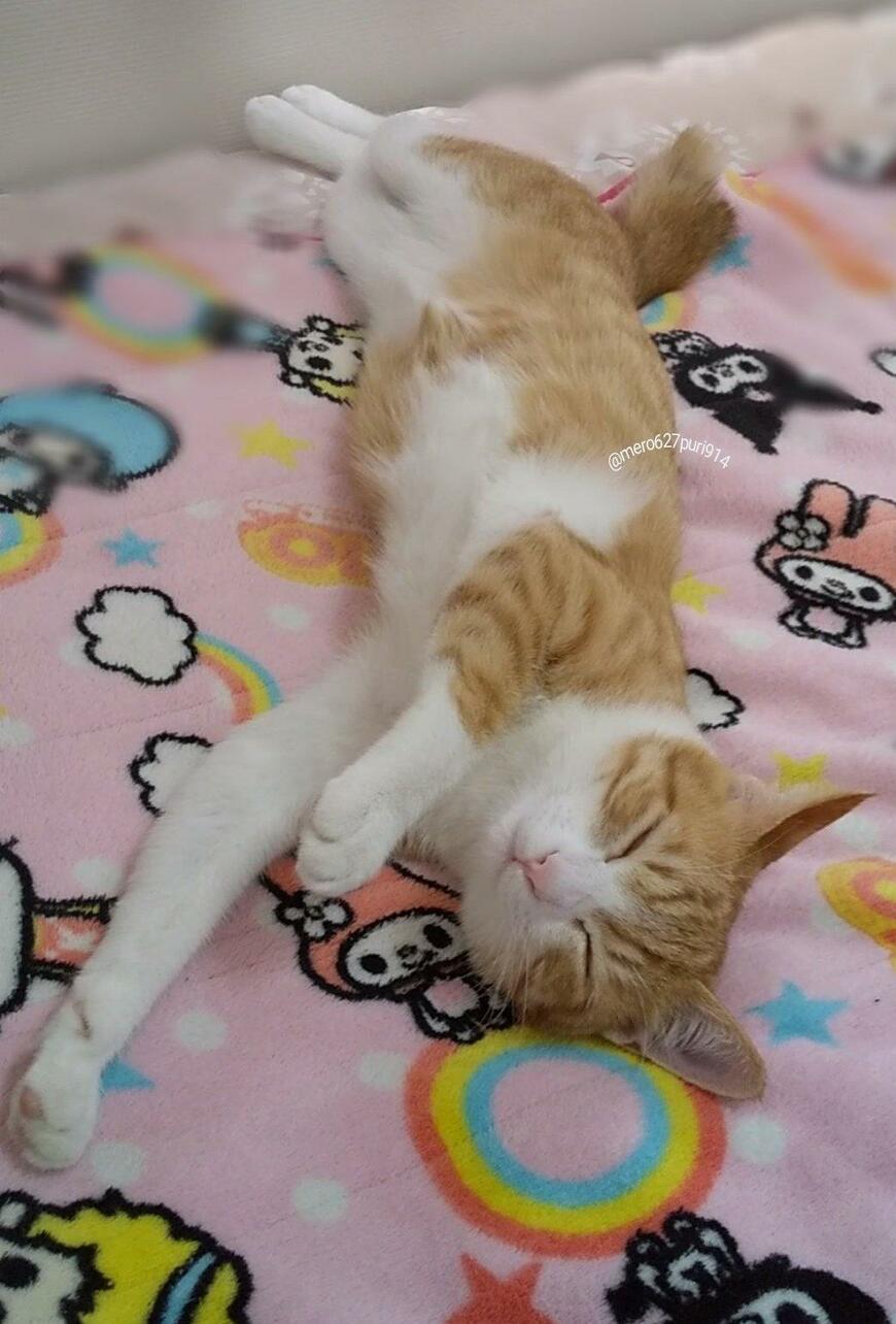 出所：@mero627puri914 