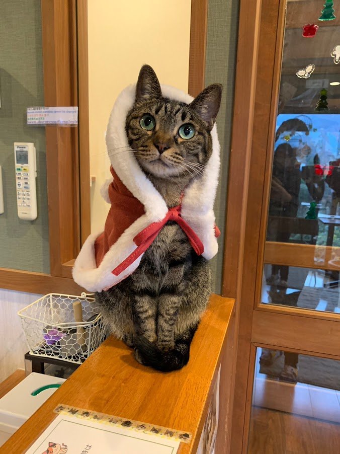 画像出所：楽天トラベル