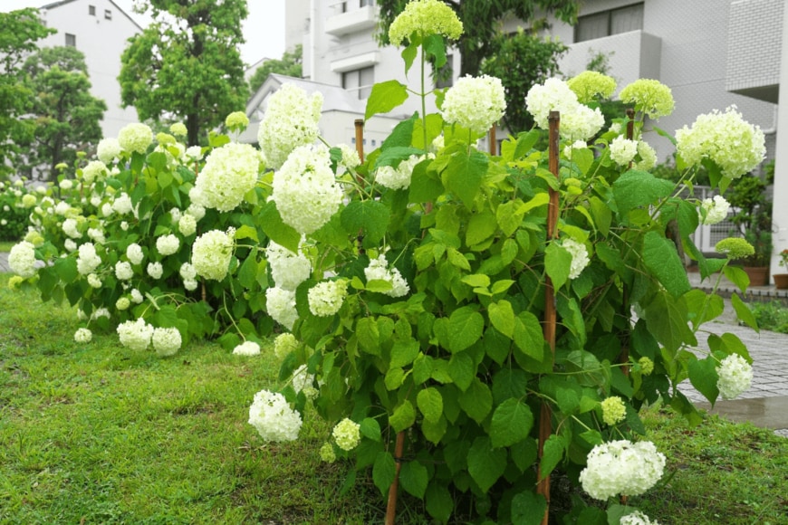 TokioMarineLife/istockphoto.com