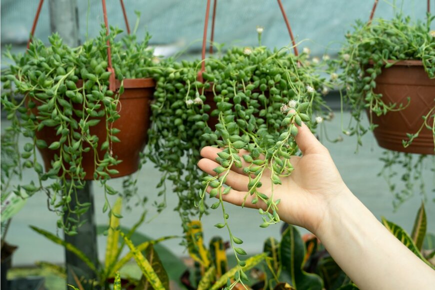 DimaBerlin/shutterstock.com