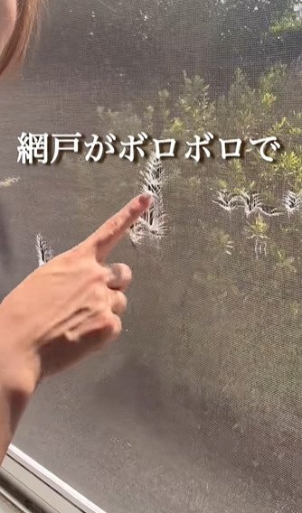 【築32年中古戸建DIY】虫が入り放題のボロボロな網戸→美しいネットの張り替え作業に反響「これは凄いですね」