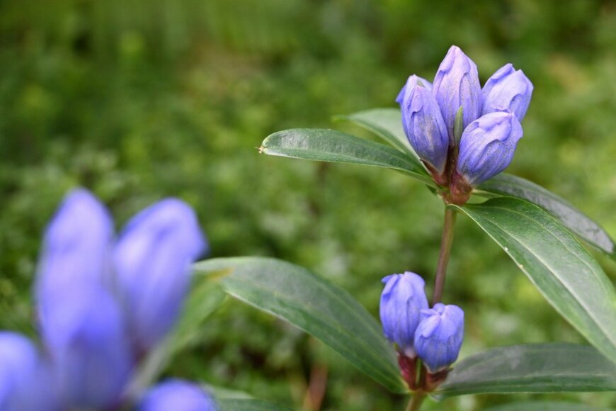 suken/istockphoto.com