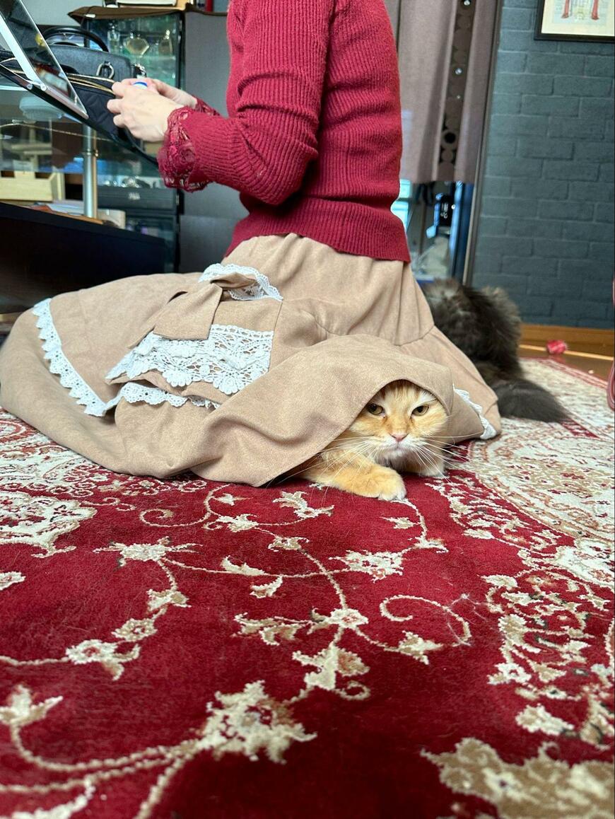 出所：@NEKOLAND13