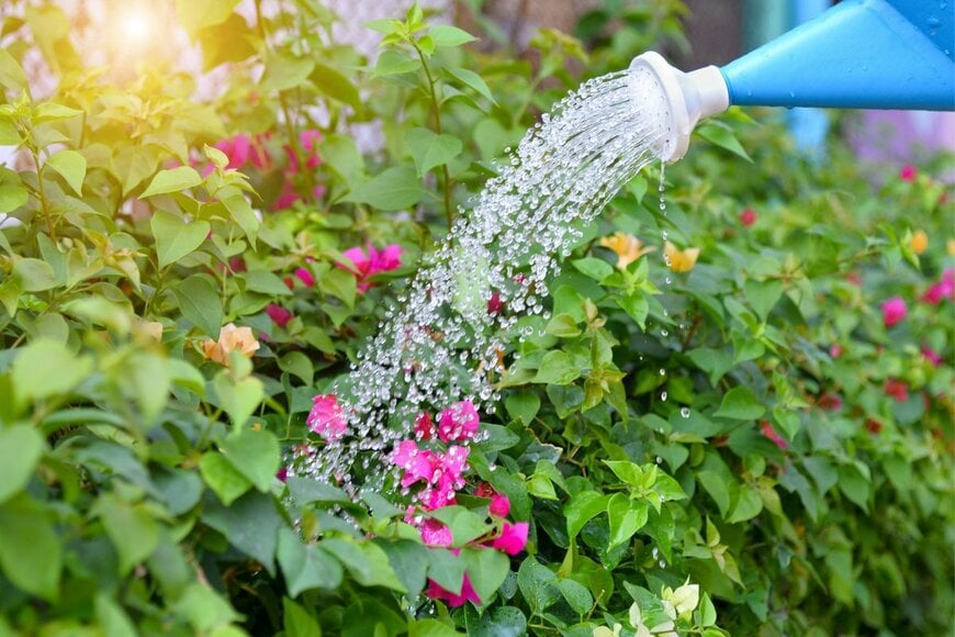 Jaral Lertjamekorn/shutterstock.com