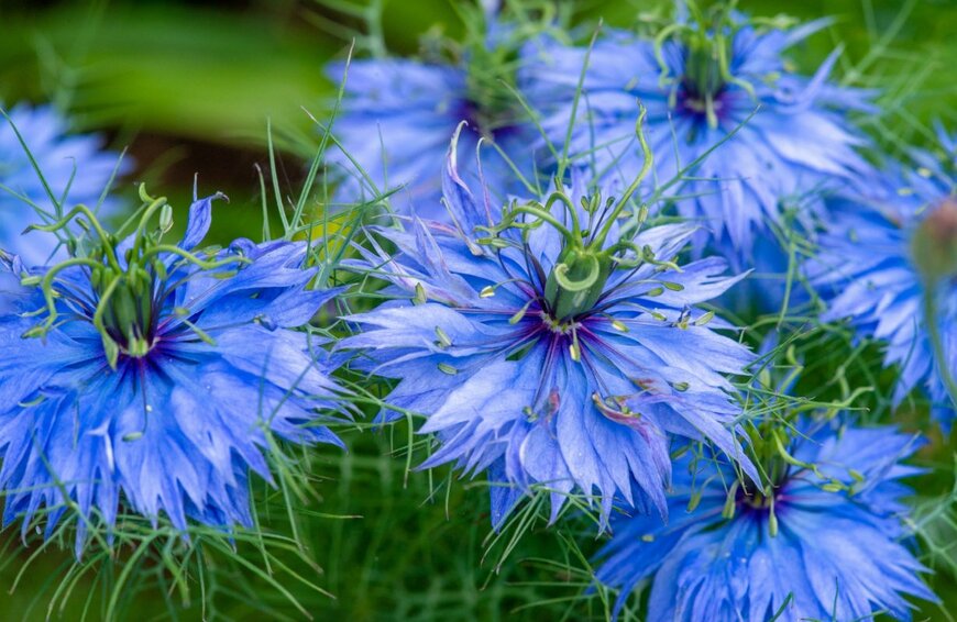 LutsenkoLarissa/shutterstock.com