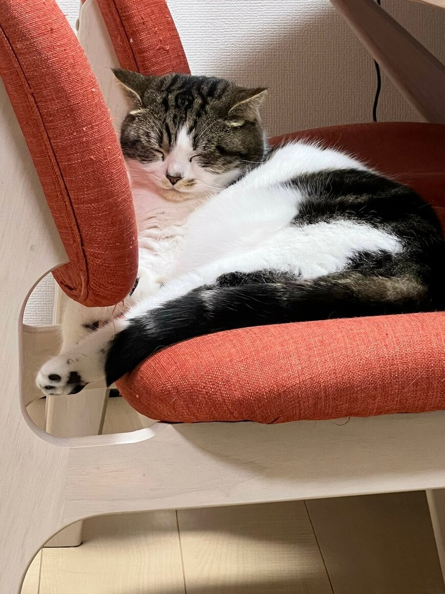 出所：@torotolo106106