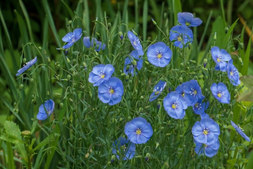 LB_user/shutterstock.com