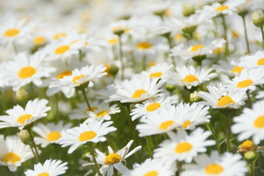 Yata/istockphoto.com