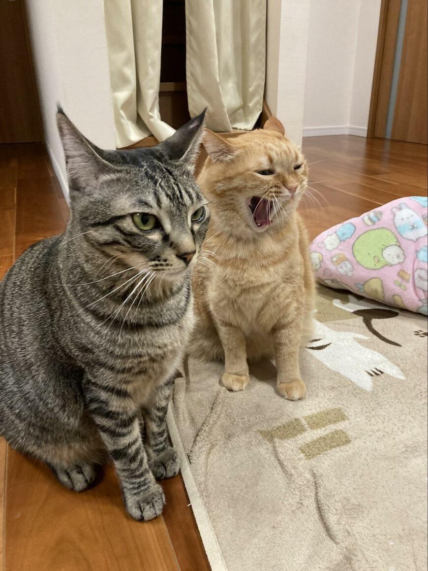 出所：@kagisuzu0531