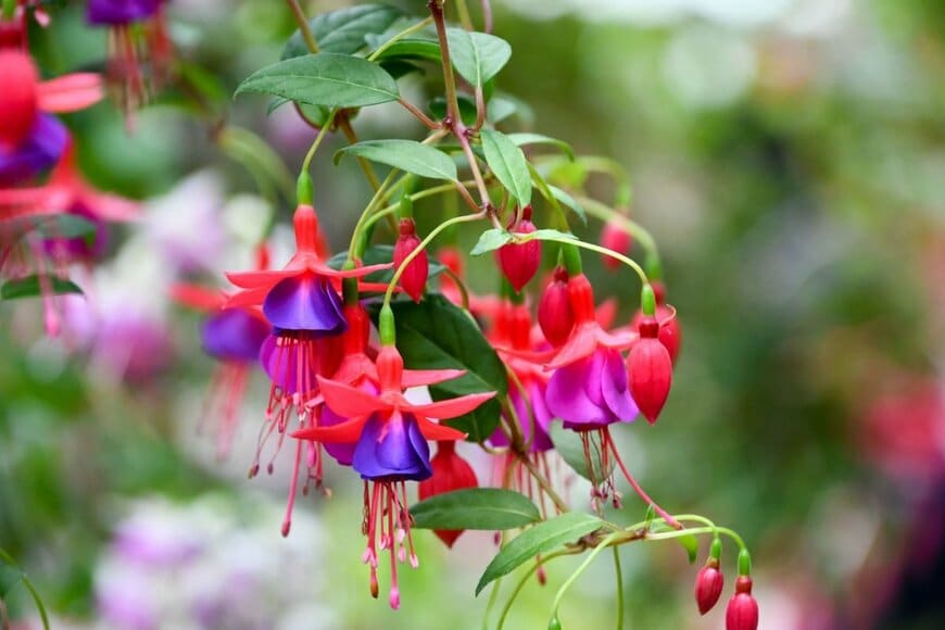 maaagram/shutterstock.com