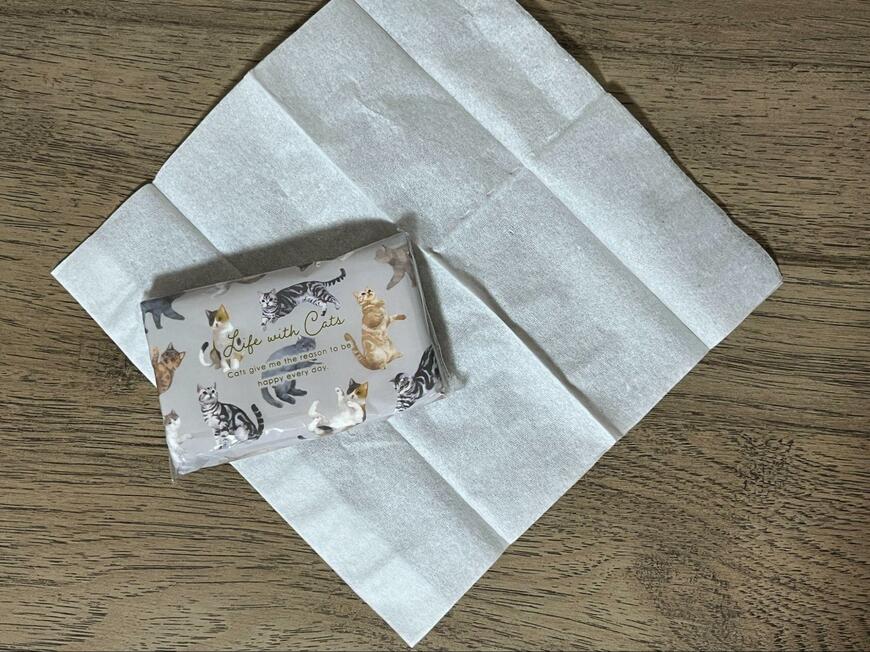 筆者撮影（セリア、ミニミニポケットティッシュ ねこ柄 6個入）