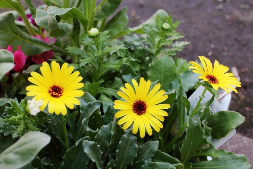 stoickt/istockphoto.com