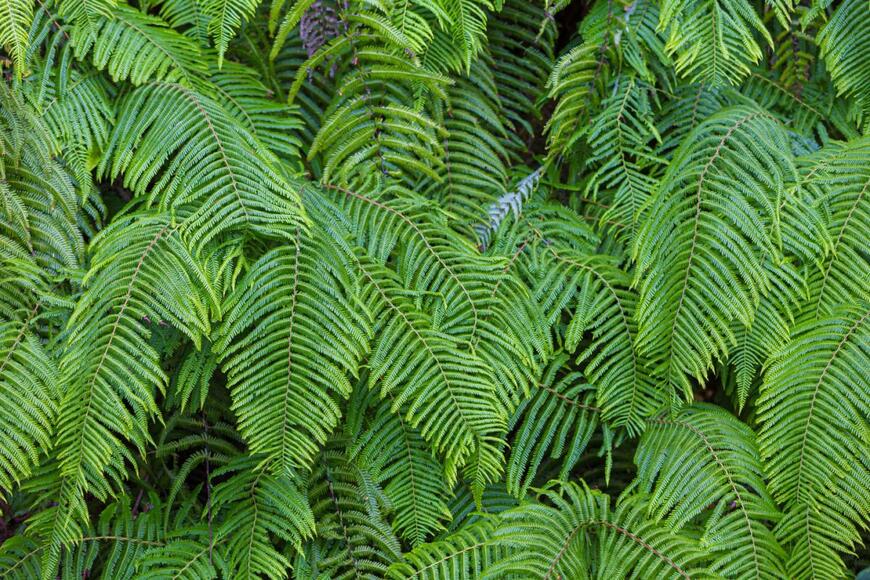 Sann von Mai/shutterstock.com