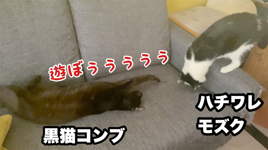 出所：@00shitemita