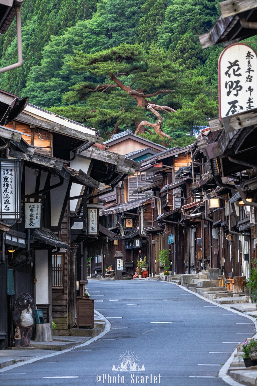 平日に撮影した様子