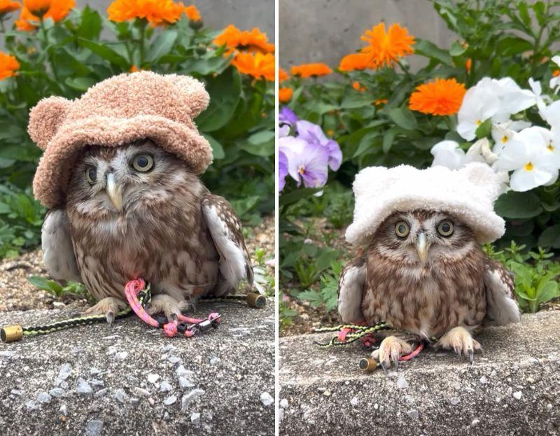 投稿動画のワンシーン