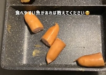 投稿動画のワンシーン