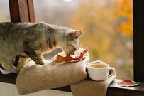 【厚生年金と国民年金】10月に「年金振込通知書」を受け取った人がチェックしておきたいポイント。自分が本当にもらえる年金額を知ろう